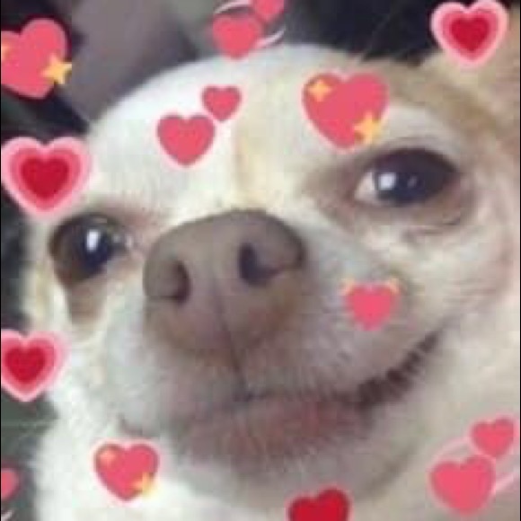 Meet your Posher, Lur - Picture 1 of 1